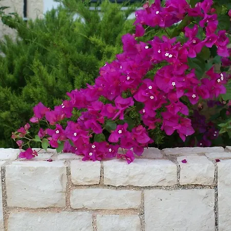 Your Memories Lejlighedshotel